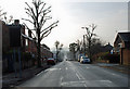 Dudley Wood Road, Dudley Wood