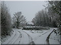 Road junction on Elmstone Road