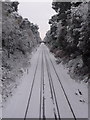 SZ0792 : Talbot Woods: railway line in snow by Chris Downer