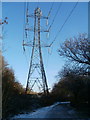 Pylon on east bank of the River Taff, Cardiff