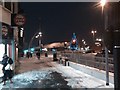 Christmas trees on Gants Hill Roundabout