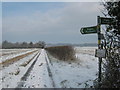 Footpath junction near Staple