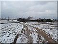 Footpath between St Nicholas and St Lythans