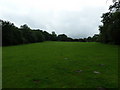 Cow pats as seen on the footpath from Cricket Field Bridge