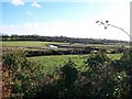 Meanders on the Blackstaff River 