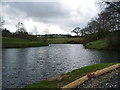 New Mills Trout Farm