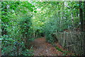 Sussex Border Path, Luck