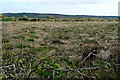 R2264 : Rough grazing at Breaghva by Graham Horn