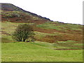 Upland grazing near Corrymuckloch