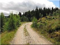 NO3492 : Road, Alltcailleach Forest by Richard Webb