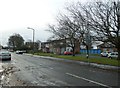 Winter trees in Goring Street