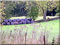 Big bales near Butterstone