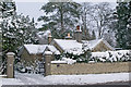 Wisteria Cottage