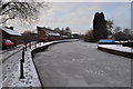 Frozen Canal