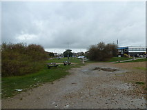 TQ1101 : Seats between Goring Beach and the Sea Lane Café by Basher Eyre