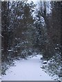 A snow-covered path in Abney Park Cemetery, Stoke Newington