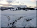 From Hurgill Road to Aislabeck plantation