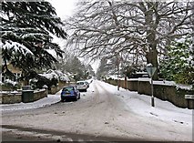 TQ0049 : Snow in Albury Road, looking from Epsom Road by L S Wilson