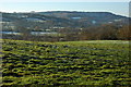 View to Leckhampton Hill