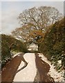 Lane to Chapel Cross