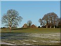 View across field to Lower Cowesfield Farm