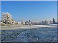 Stourport War Memorial Park covered by a December frost