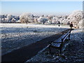 SP2872 : Bench in frost-covered Abbey Fields by John Brightley