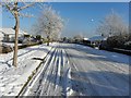 Tracks in the snow, Georgian Villas