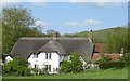 Five Chimneys, with Hambledon Hill behind