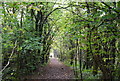 North Downs Way to Otford