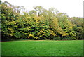 Disused Chalk Quarry, Otford