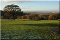 View over Cheltenham