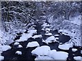 River Carron, Fankerton