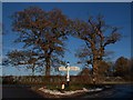 Signpost at Shover