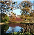 Pond near Strathleven House