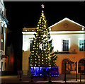 Christmas Tree, Bangor