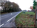 Sign for Spithandle Nursery on Horsebridge Common