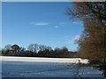 Footpath to Horns Green