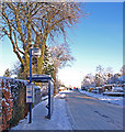 Bus Stop, Beith