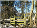 Footpath crosses Buckhurst Road