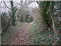 Enclosed footpath near Brooms Farm looking west