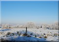 Snowy scene near Seighford.