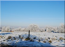 SJ8725 : Snowy scene near Seighford. by Simon Huguet