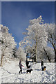 Dog walkers at Langlee, Galashiels