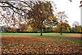 Late Autumn in Wandle Park