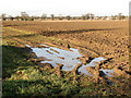 Frozen puddle in field east of Watt