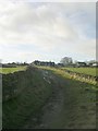 Green Lane - viewed from near Ashington Close