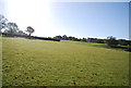 Countryside near Ewhurst Green