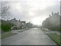 Blakehill Terrace - looking towards Intake Road