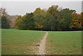 Sussex Border Path to Rocks Wood